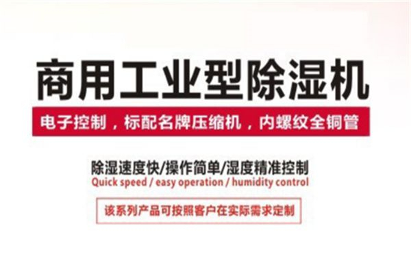 大型工业除湿机 大吸力空气干燥机 大型工业干燥除湿机