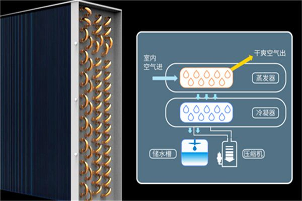 为什么医院需要使用除湿机？
