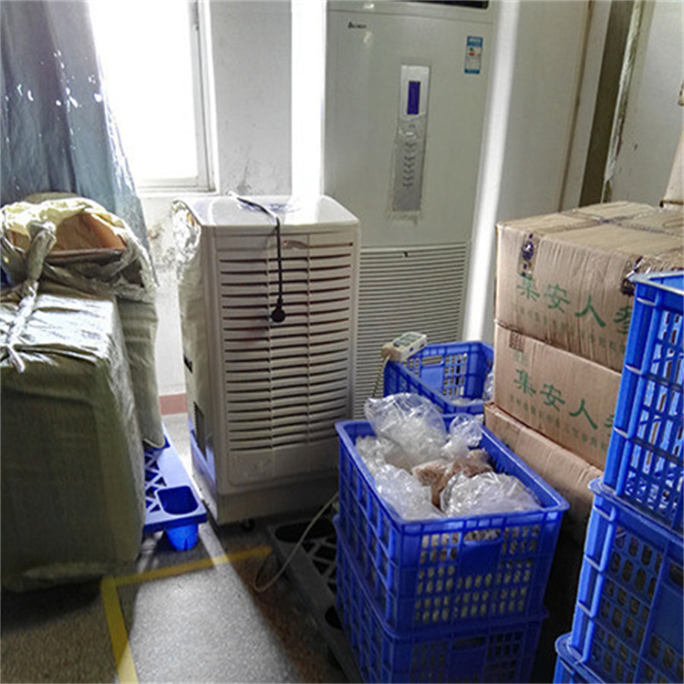 药品冷库除湿秘籍：如何科学控制湿度以确保药品安全